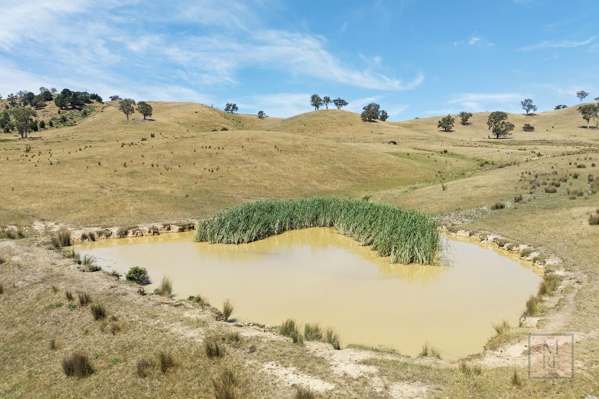 'Dalhaven' via Hells Hole Creek Road, Bonnie Doon