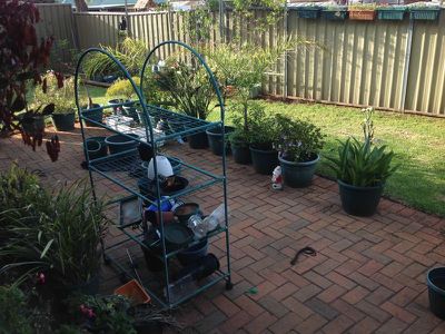 58A Cunningham Street, Dubbo