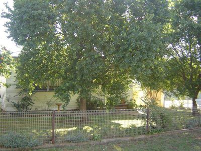 89 North Street, Dubbo