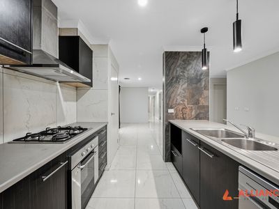 117 Swamphen Drive, Williams Landing