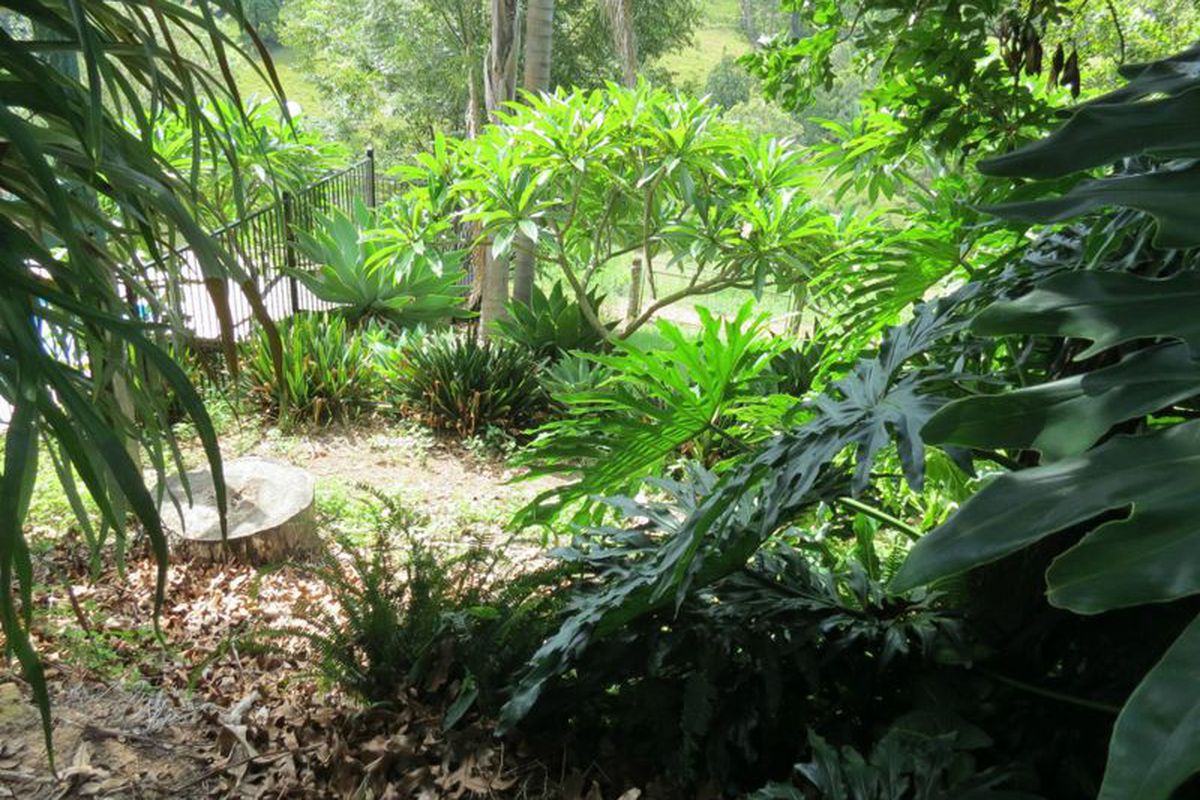 236 Fords Road, Koorainghat