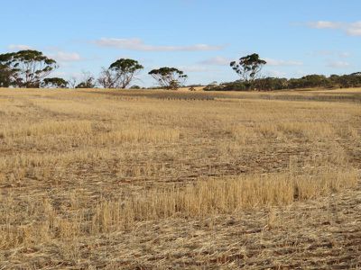 10352 / Cunderdin-Quairading Road, Cunderdin