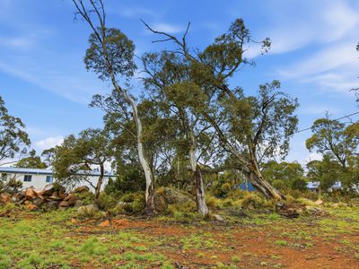 3 Anglers Crescent, Miena