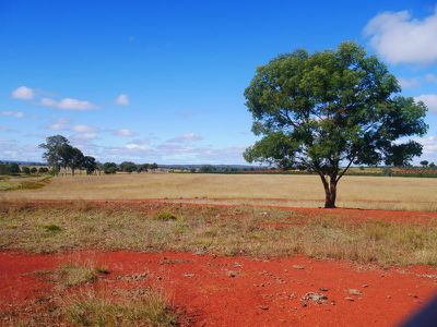 376 Reedy Creek, Kingaroy