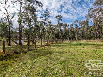 106 Warra Forest Road, Mount Mitchell