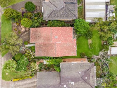 48 Wren Street, Condell Park