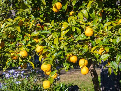 950 Wagonga Scenic Drive, Narooma