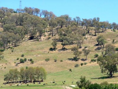 Crosthwaite Lane, Kergunyah