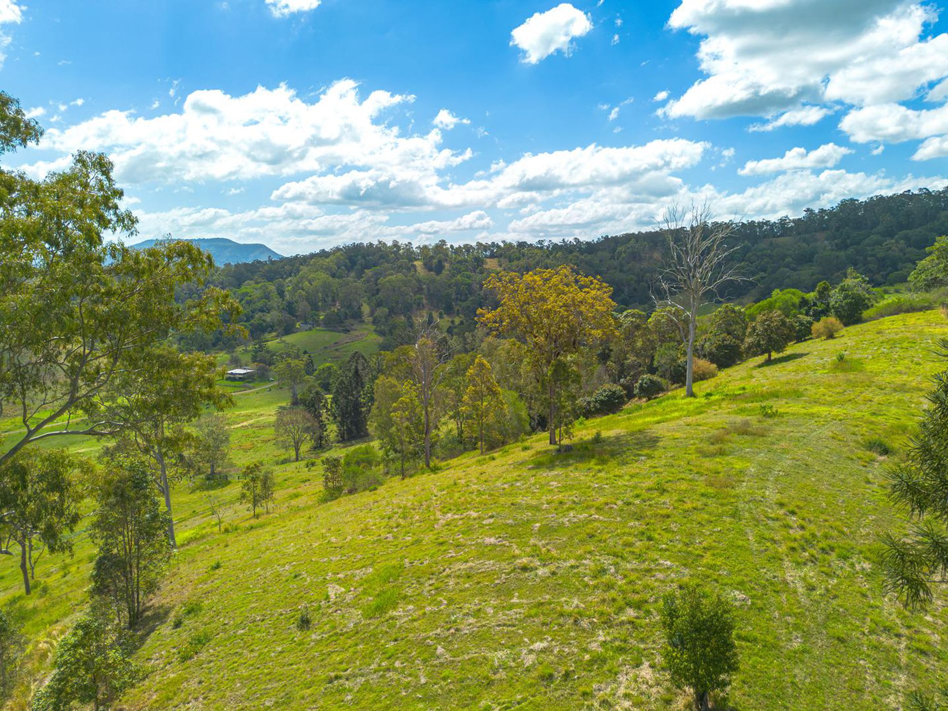 54 SUTTON ROAD, Coolabine