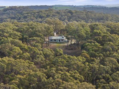 105 Speed Road, Hilldene