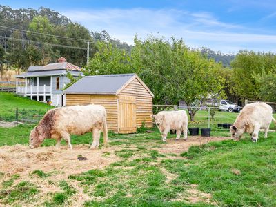 6929 Huon Highway, Dover