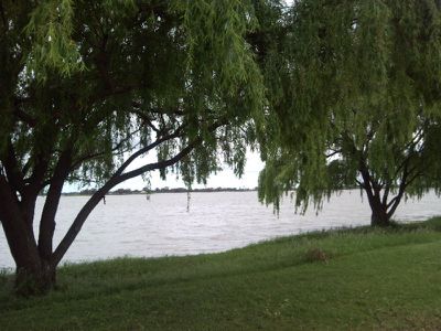 Mystic Park