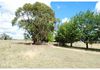86 Frewin Road, Orange