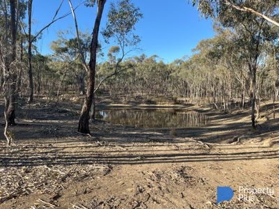 Lot 13, Moliagul Drive, Moliagul