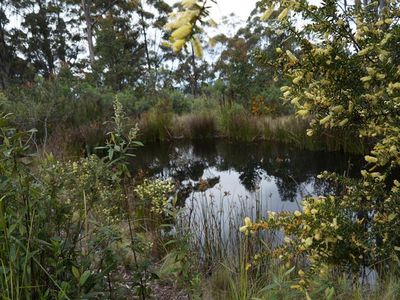 Lot 1, Guys Road, Cygnet