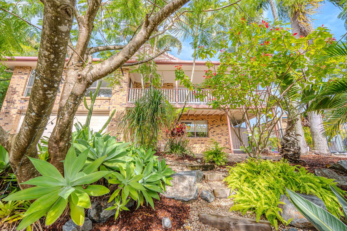 Elevated Tranquil Family Oasis in Coveted Elanora 
