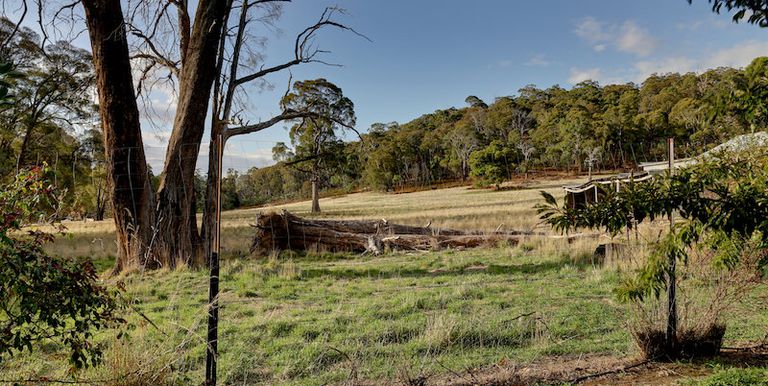 24 Baldhill Lane, Strathbogie