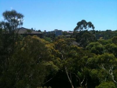 69 St Marks Road, Randwick