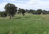 48 Lower Lewis Ponds Road, Orange