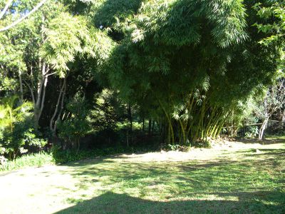 Maleny