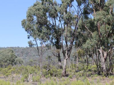 205 Youngs Lane, Heathcote