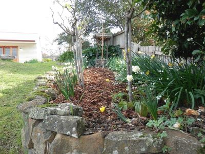 24 Cool Store Road, Huonville
