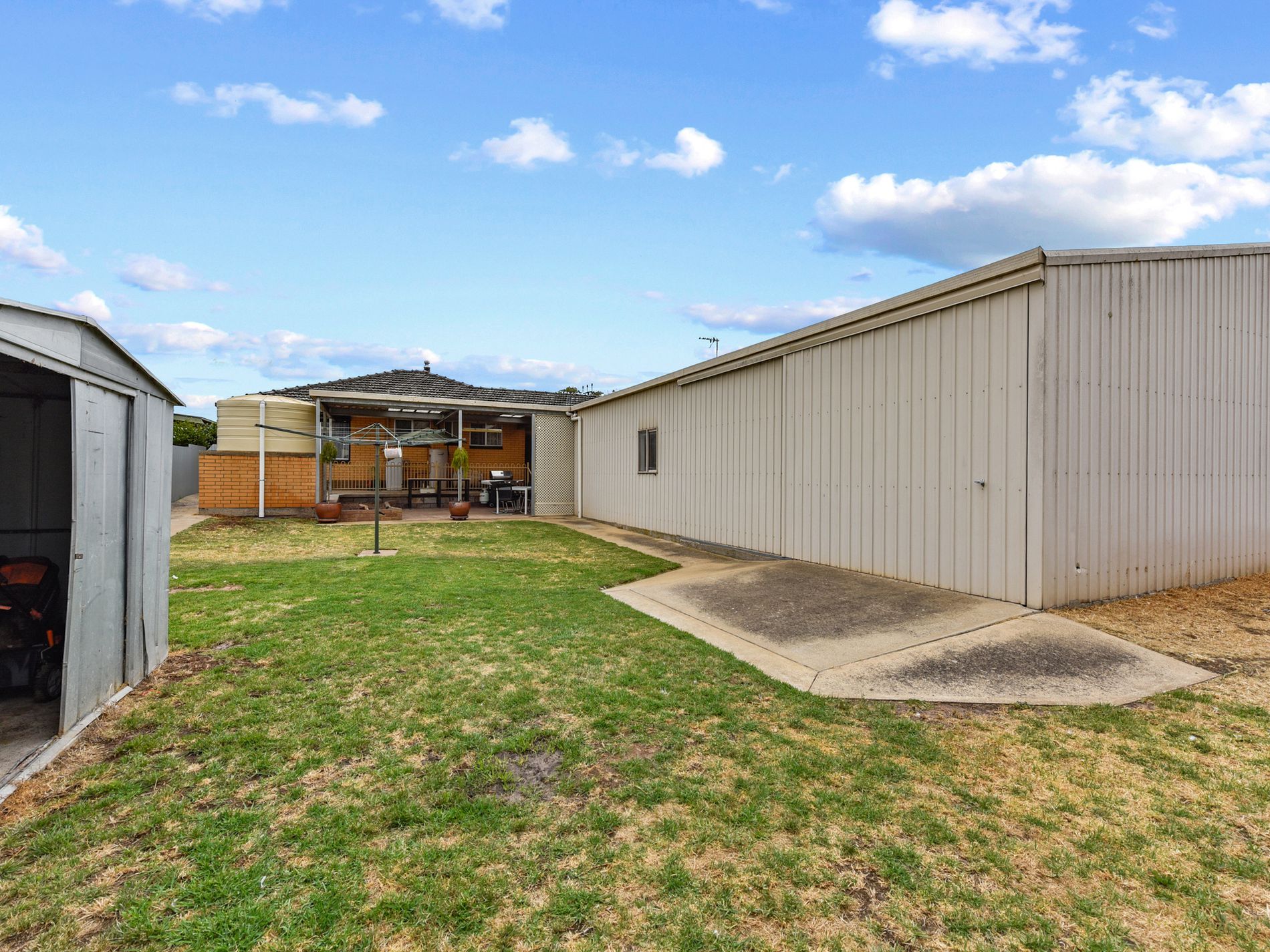 11 Ireland, Millicent