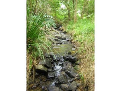 Lot 8 Tulsi Lane, Nimbin