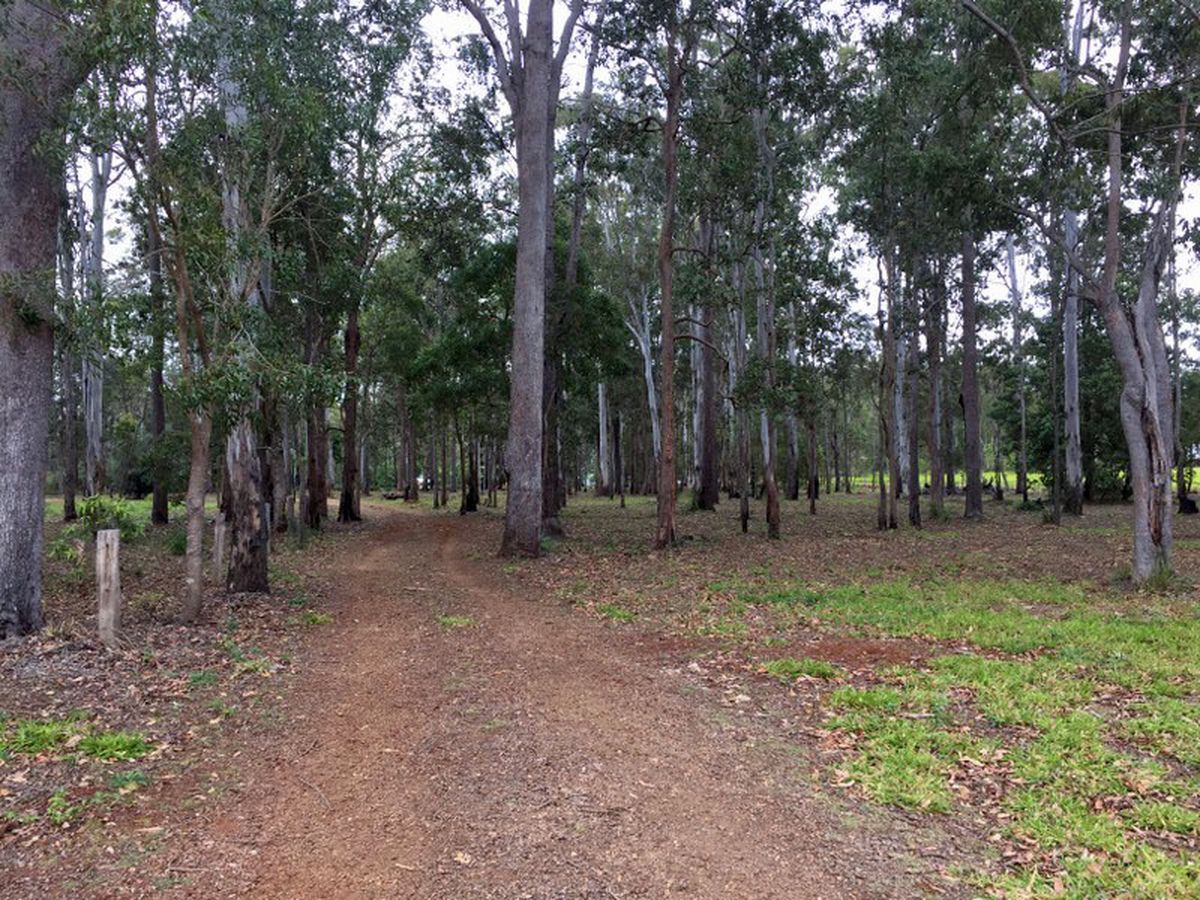 Ravenshoe