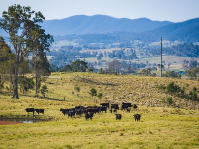 23 Christophers Road, Quaama