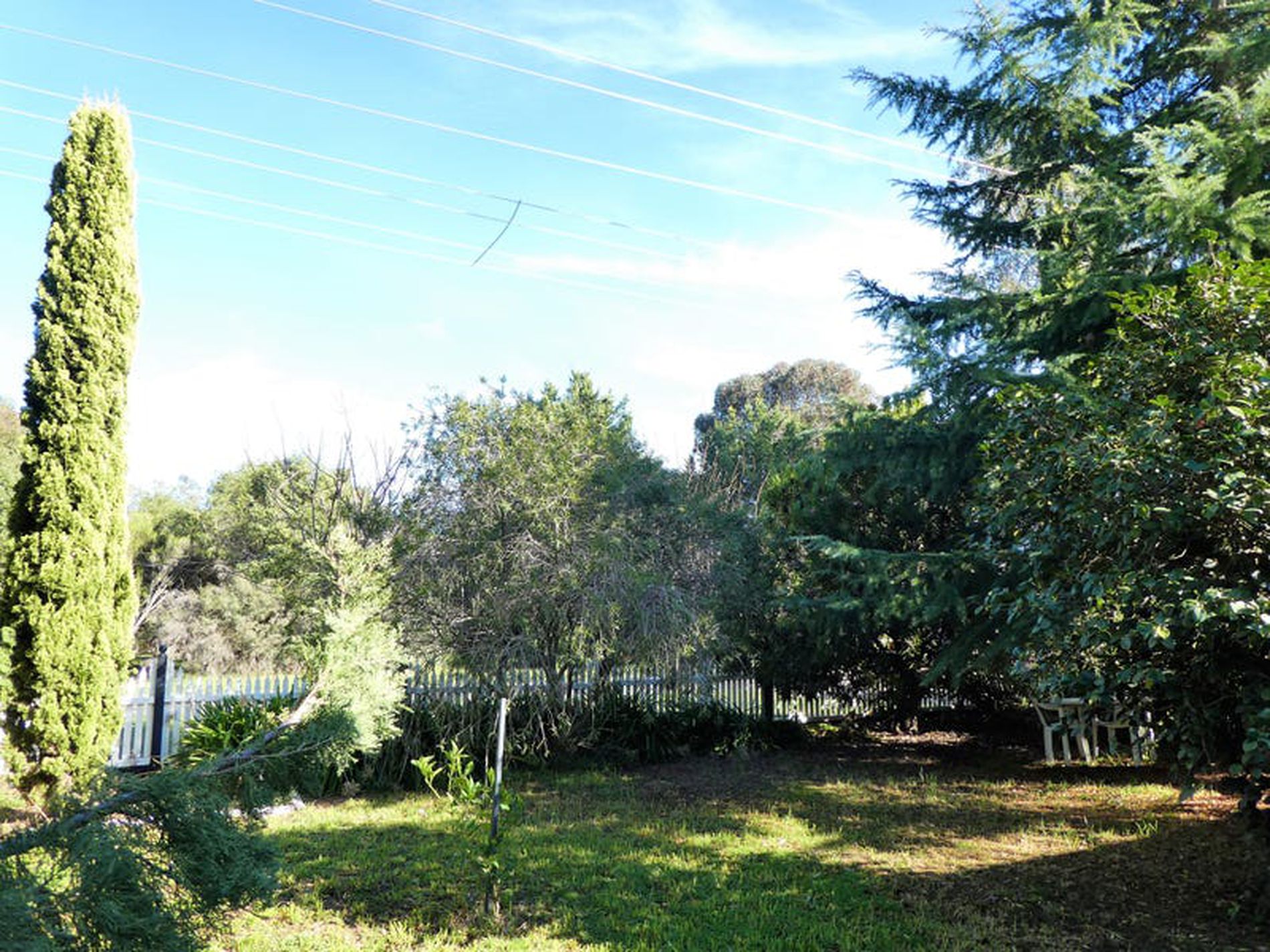 39 Shelton St, Avenel