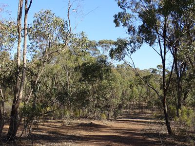 127 Nagambie-Rushworth Road, Bailieston