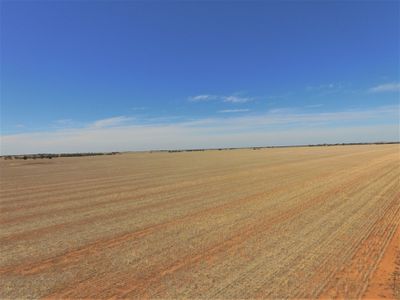 Old Charlton-Boort Road, Wychitella North