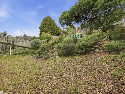 87 Forest Road, Trevallyn