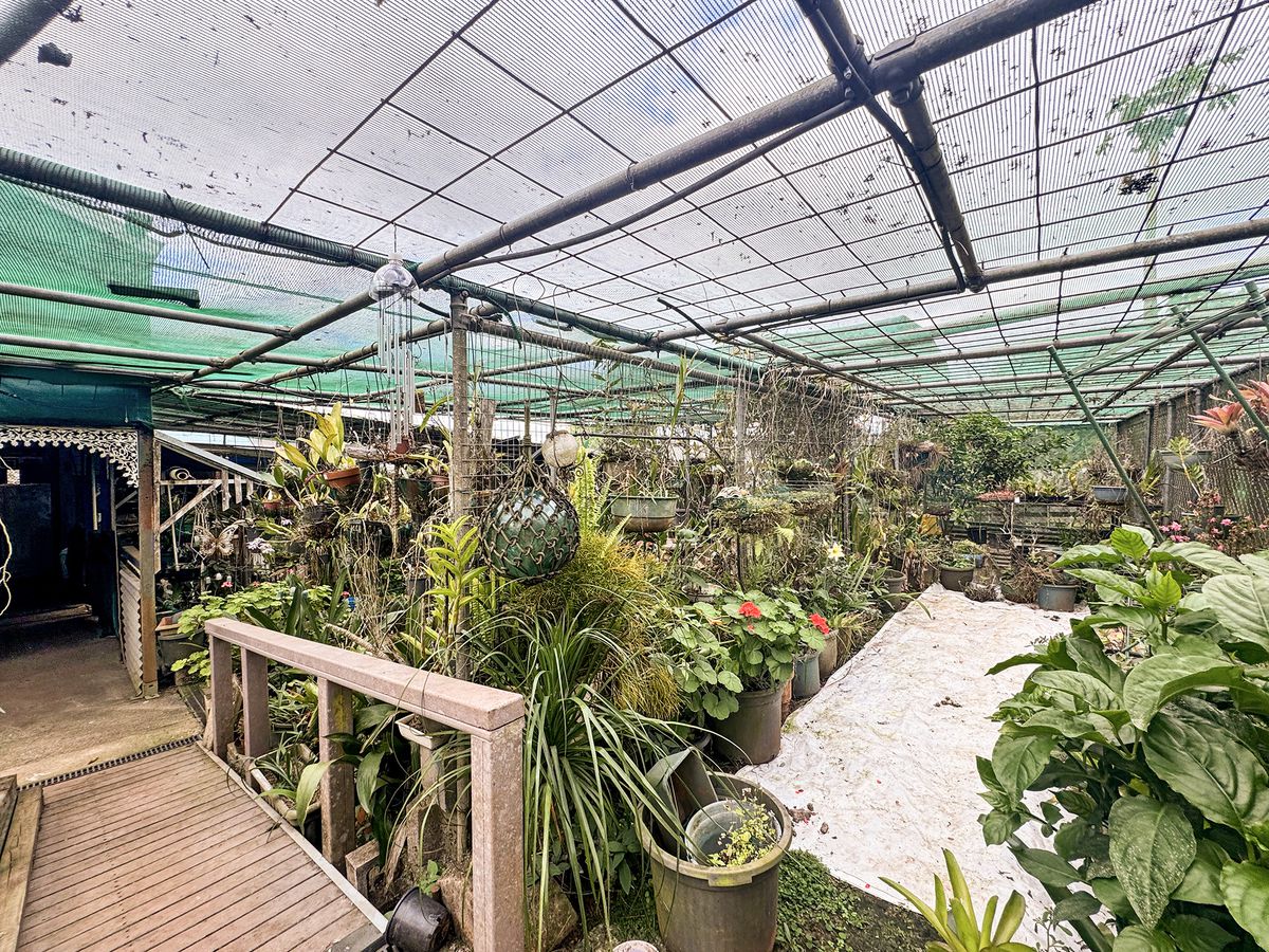 14 Roseblade Street, Yungaburra