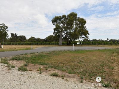 44 Shadforth Street, Oxley