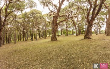 16 Sugarloaf Road, Beaconsfield Upper