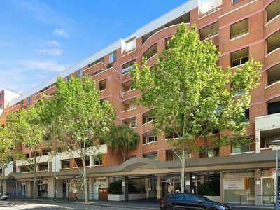 N501 / 233 Harris Street, Pyrmont