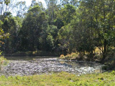 Maleny