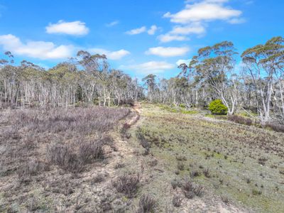 Lot 193 / 443 Back Creek Road, Mongarlowe