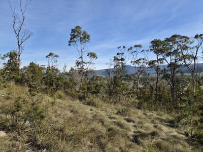 77 Grovenor Rise, Grove