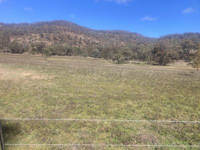 1950 FLAGGS ROAD, Gungal