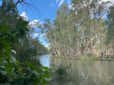 2238 Kerang Koondrook Road, Koondrook