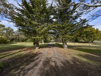 50 GELTWOOD DRIVE, Beachport