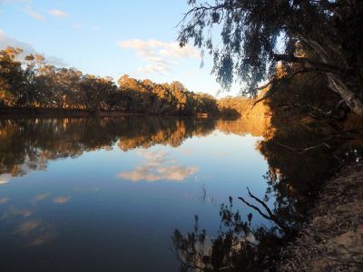 149 Flowerday Lane, Murrabit West