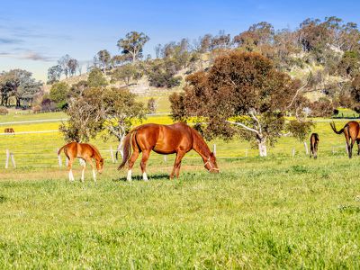 552 Upton Rd, Avenel