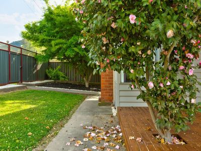 3803 Omeo Highway, Eskdale