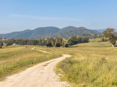 474 Neringla Road, Neringla, Araluen