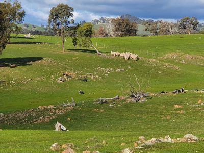 505 Hardings Lane, Tooborac