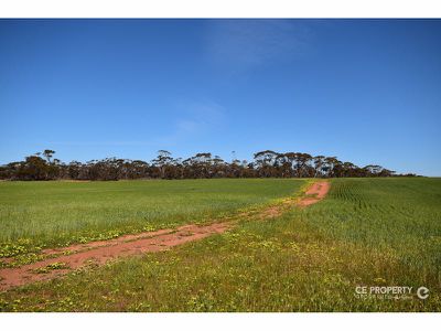 Section 89 Glen Roy Road, Cambrai